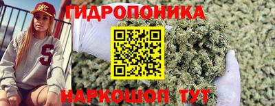 сатива Волжский